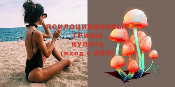 сатива Алексеевка